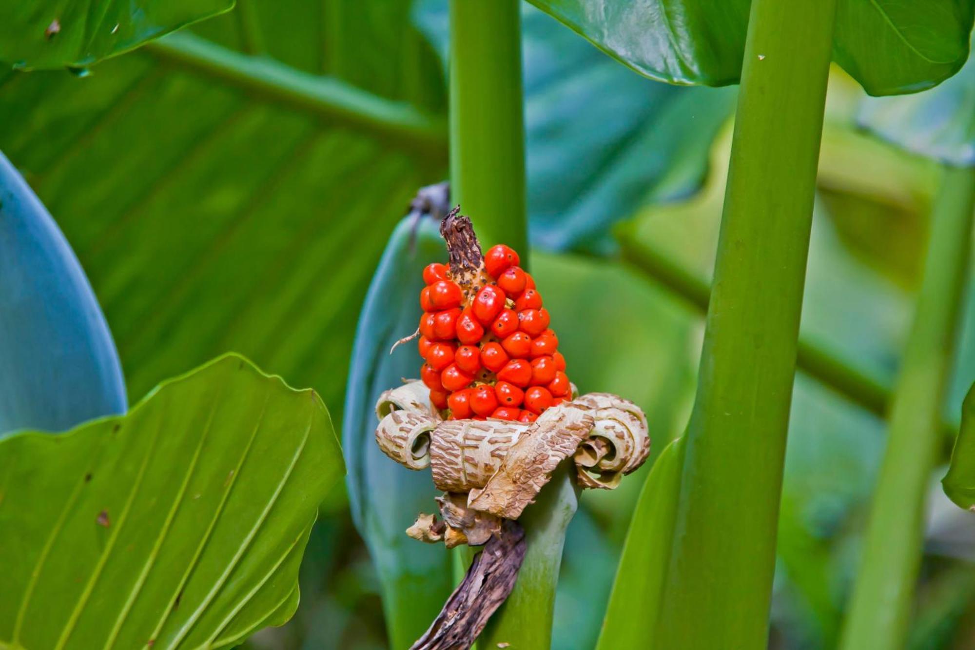 פוארטו איגואסו Tierra Guarani Lodge מראה חיצוני תמונה