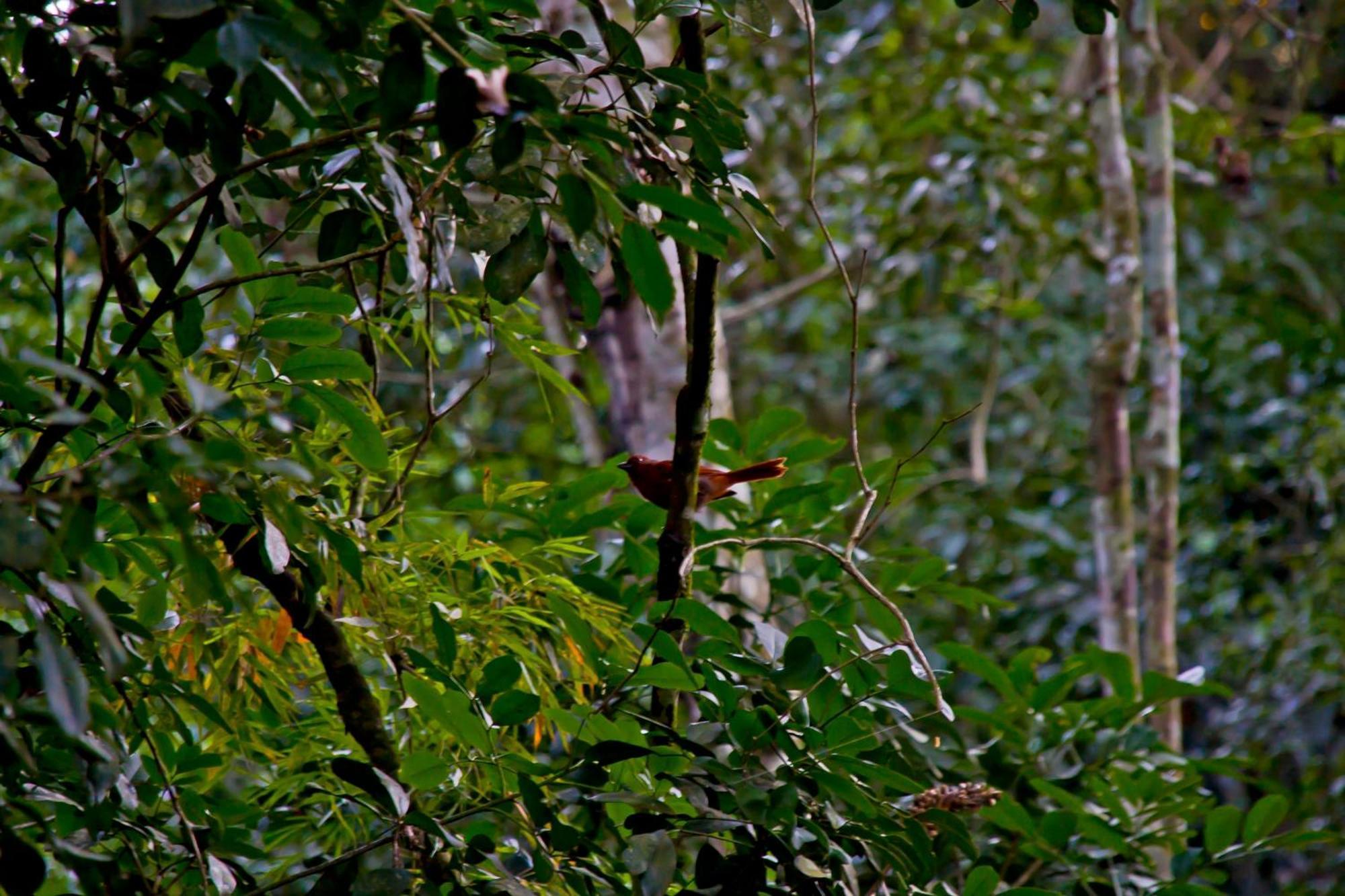 פוארטו איגואסו Tierra Guarani Lodge מראה חיצוני תמונה
