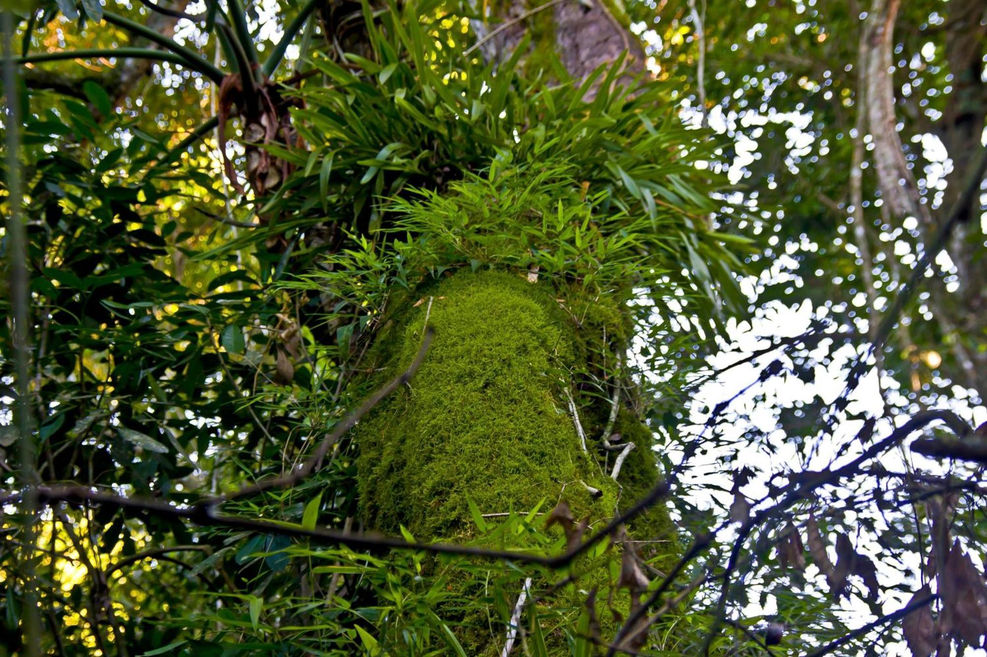 פוארטו איגואסו Tierra Guarani Lodge מראה חיצוני תמונה
