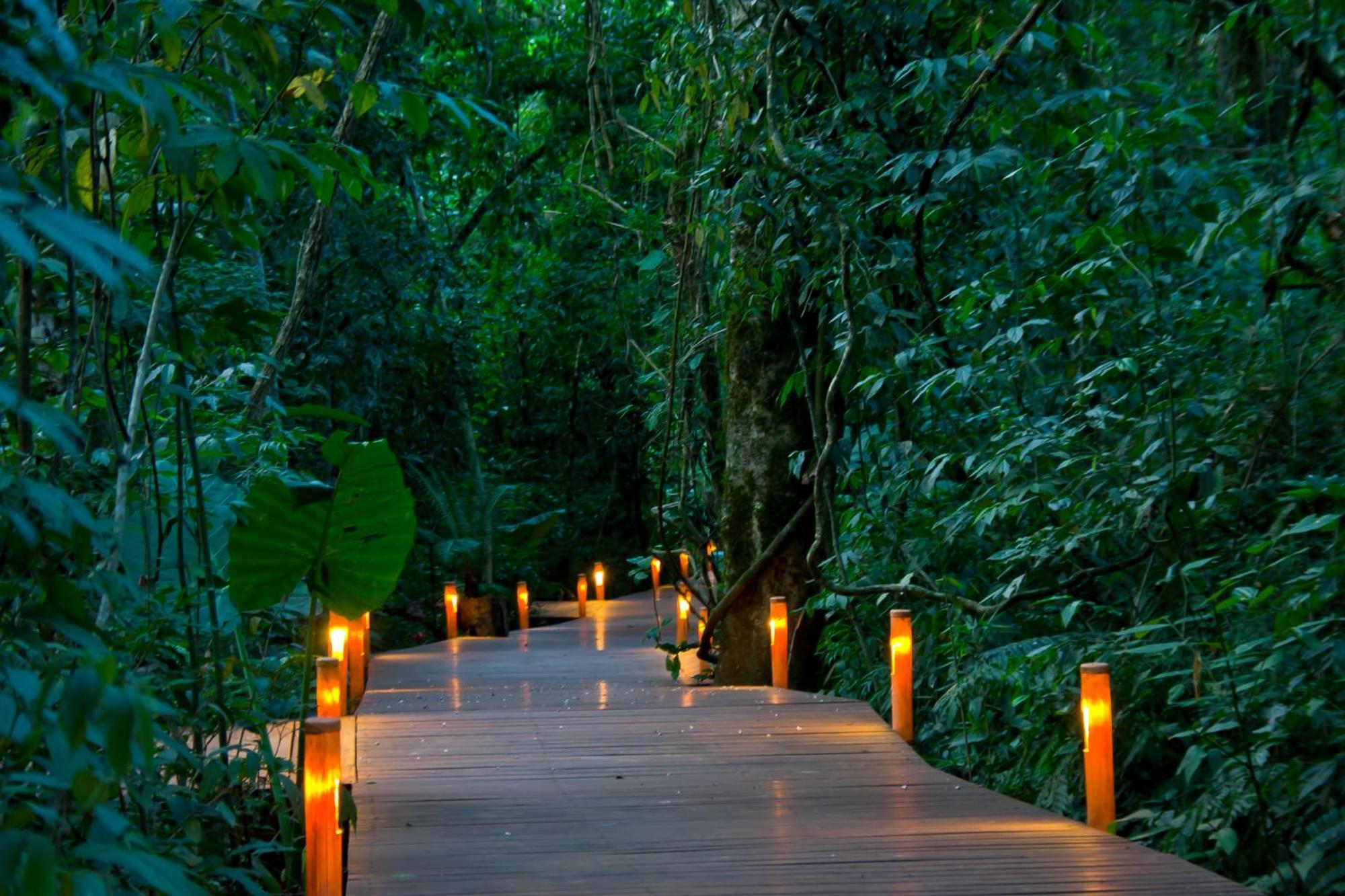 פוארטו איגואסו Tierra Guarani Lodge מראה חיצוני תמונה