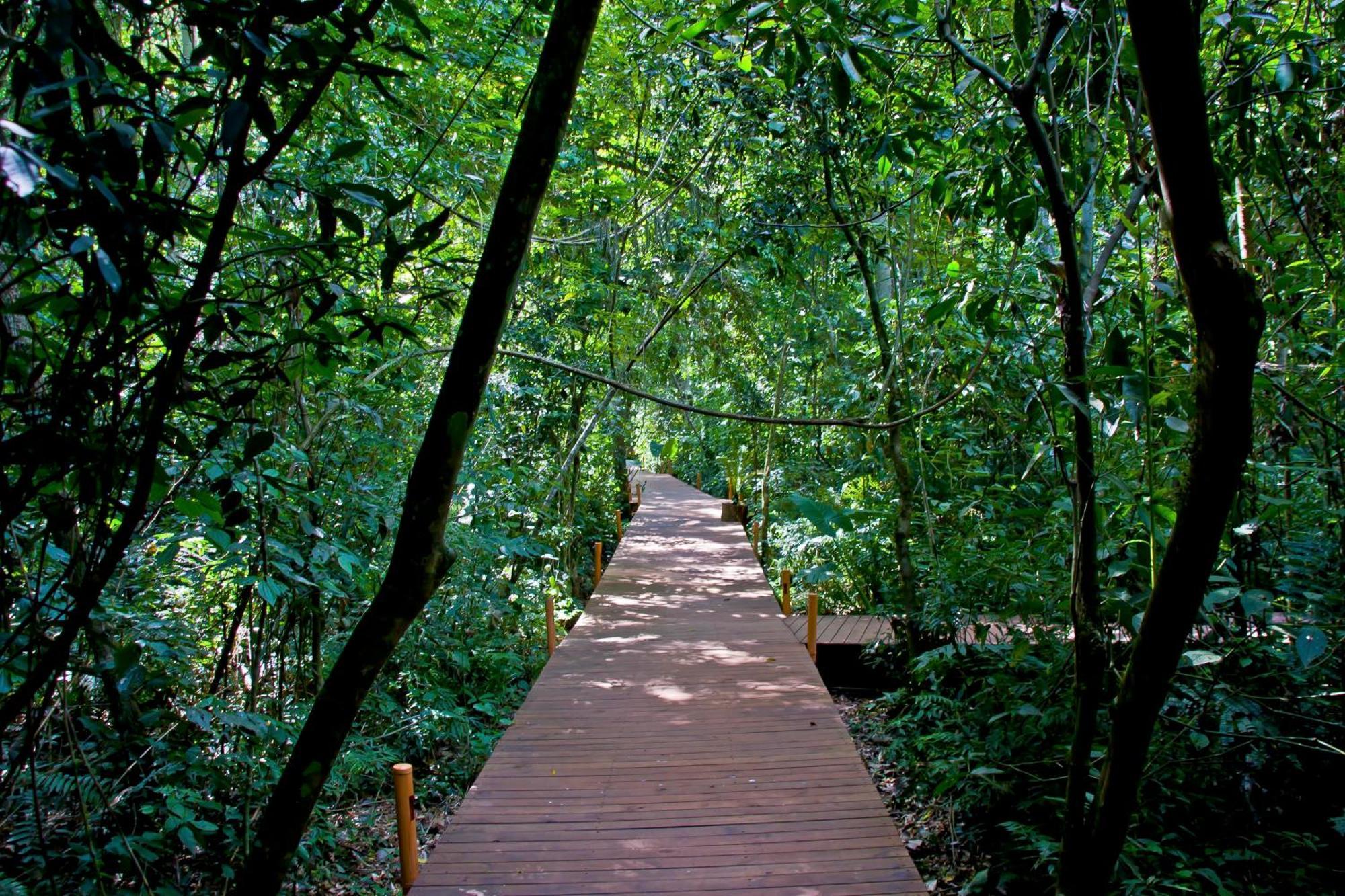 פוארטו איגואסו Tierra Guarani Lodge מראה חיצוני תמונה