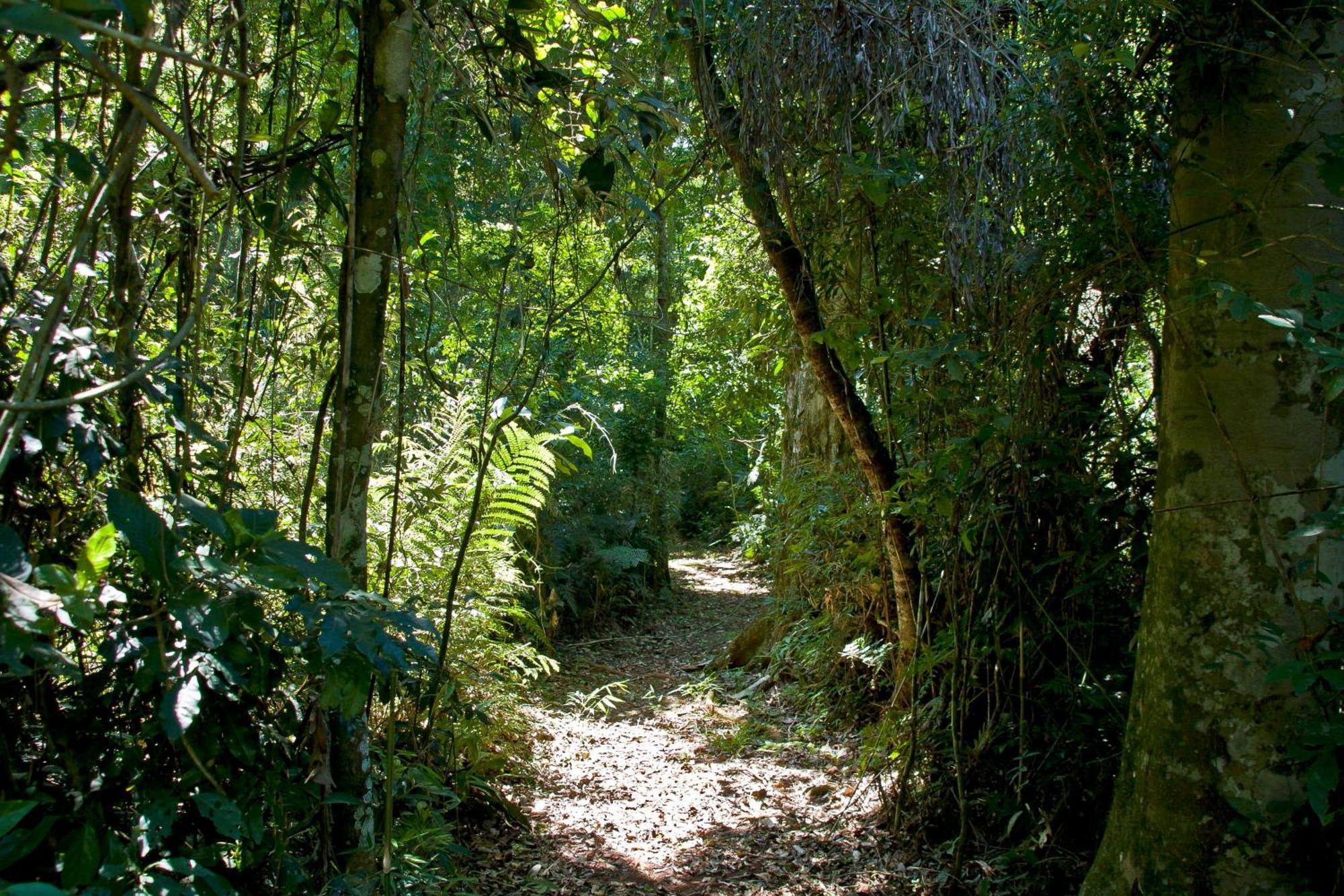 פוארטו איגואסו Tierra Guarani Lodge מראה חיצוני תמונה