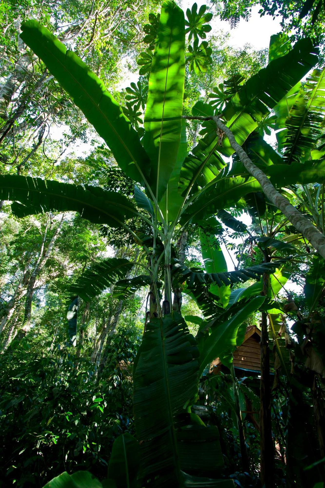 פוארטו איגואסו Tierra Guarani Lodge מראה חיצוני תמונה