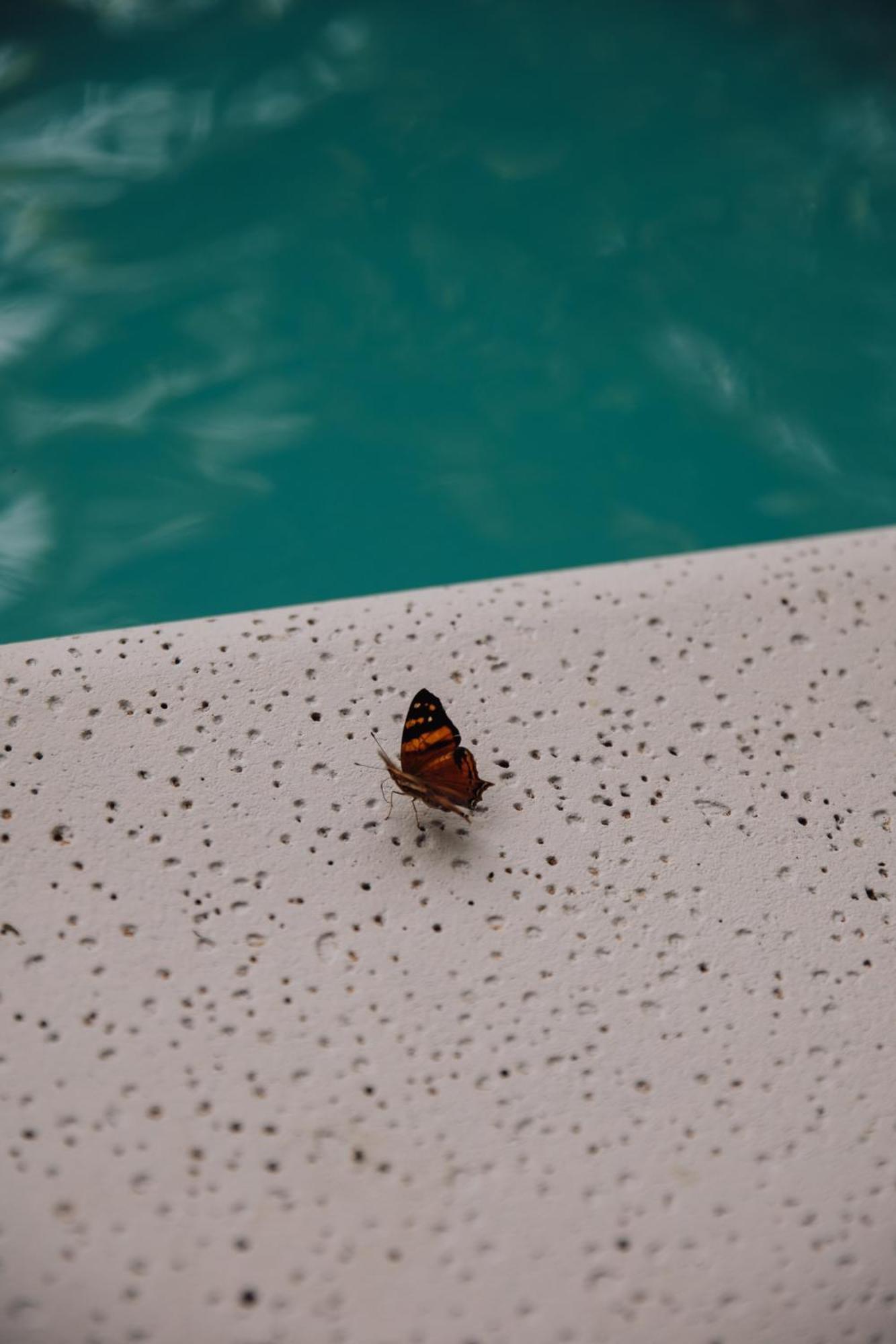 פוארטו איגואסו Tierra Guarani Lodge מראה חיצוני תמונה
