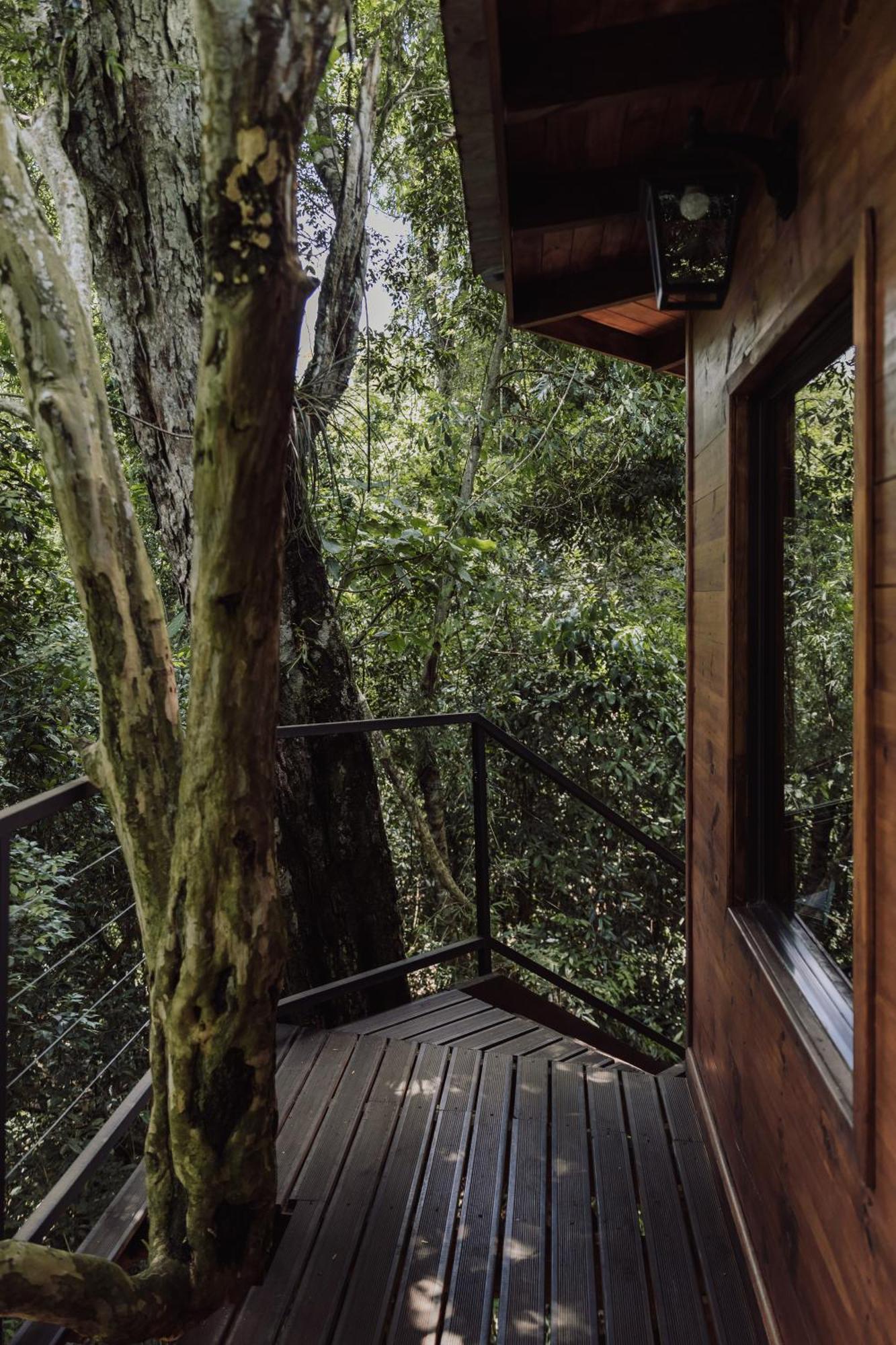 פוארטו איגואסו Tierra Guarani Lodge מראה חיצוני תמונה