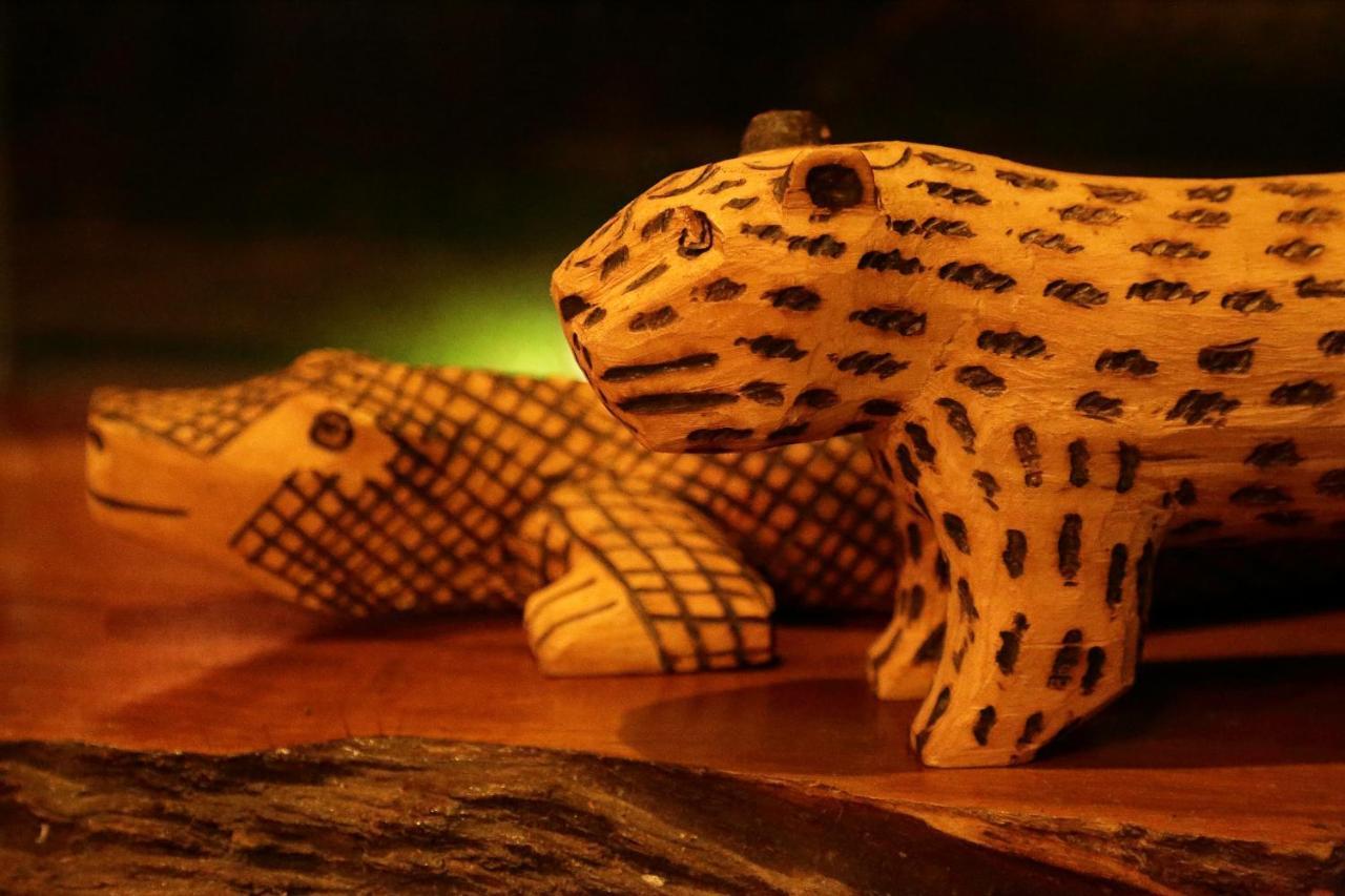 פוארטו איגואסו Tierra Guarani Lodge מראה חיצוני תמונה