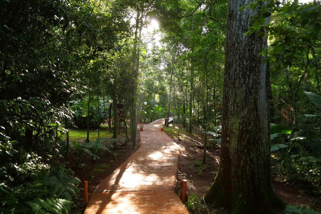 פוארטו איגואסו Tierra Guarani Lodge מראה חיצוני תמונה