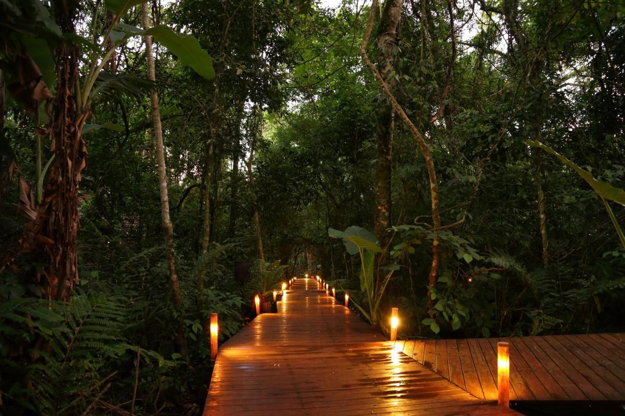 פוארטו איגואסו Tierra Guarani Lodge מראה חיצוני תמונה