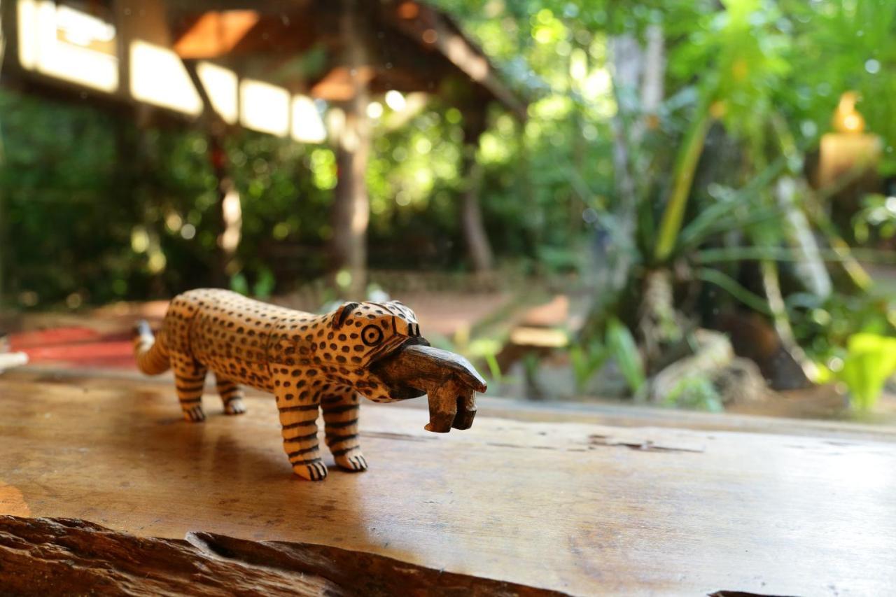 פוארטו איגואסו Tierra Guarani Lodge מראה חיצוני תמונה
