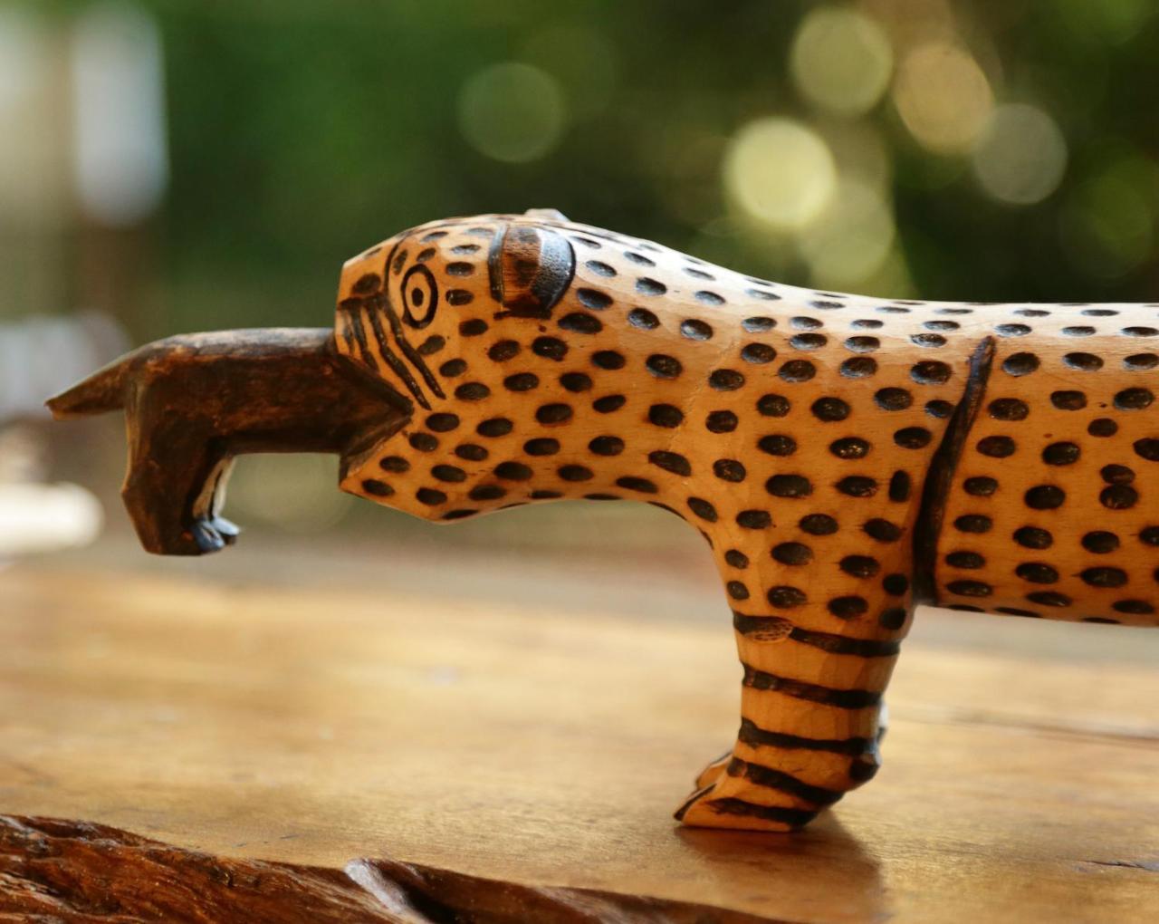 פוארטו איגואסו Tierra Guarani Lodge מראה חיצוני תמונה